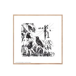 A herd of starlings, Aage Sikker Hansen