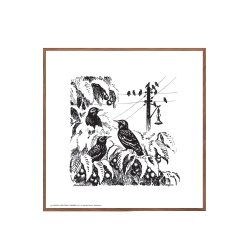 A herd of starlings, Aage Sikker Hansen