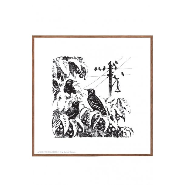 Streflok, Aage Sikker Hansen