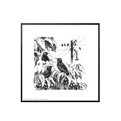 A herd of starlings, Aage Sikker Hansen