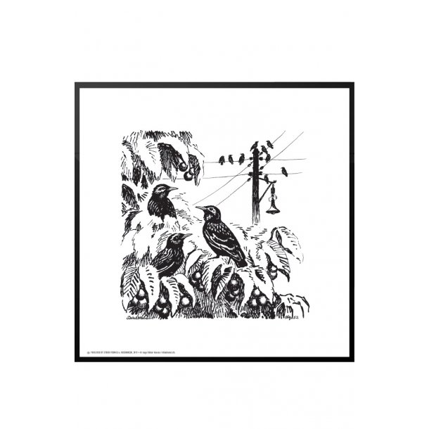 Streflok, Aage Sikker Hansen