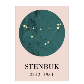 Stjernetegn - Stenbuk
