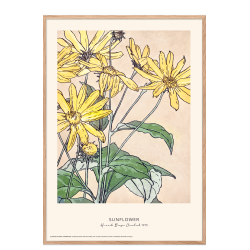 Sunflower. Hannah Borger Overbeck