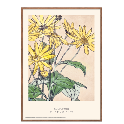 Sunflower. Hannah Borger Overbeck