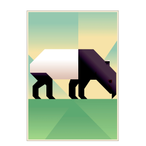 Tapir. Martin Schwartz