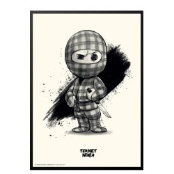 Ternet Ninja