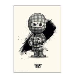 Ternet Ninja