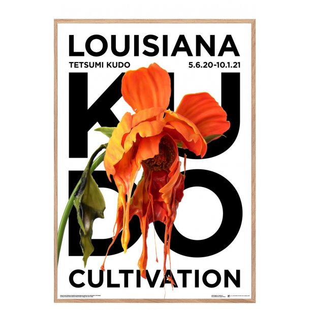 Tetsumi Kudo, Cultivation, Louisiana