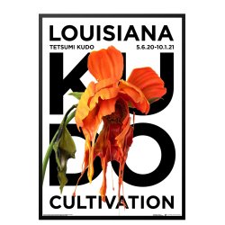 Tetsumi Kudo, Cultivation, Louisiana