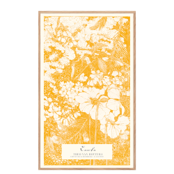 Lente - Theo Van Hoytema