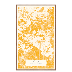 Lente - Theo Van Hoytema