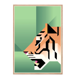 Tiger. Martin Schwartz