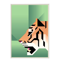 Tiger. Martin Schwartz