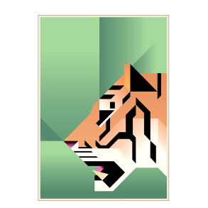 Tiger. Martin Schwartz