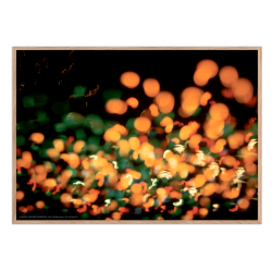 Helmer-Petersen, Tivoli Gardens 1952