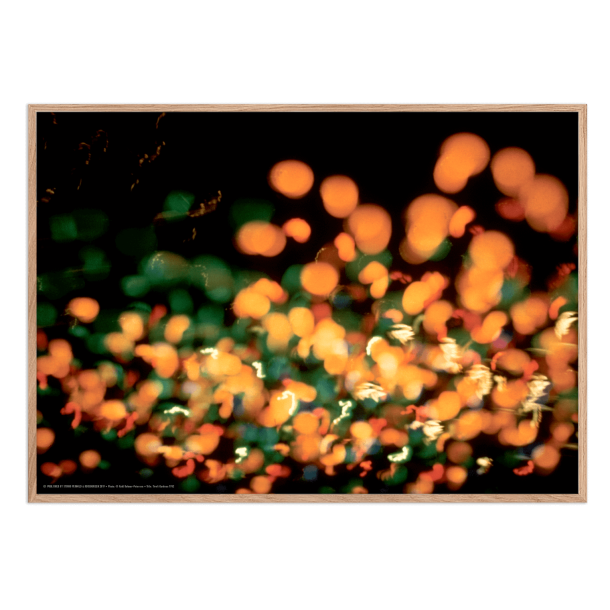 Helmer-Petersen, Tivoli Gardens 1952