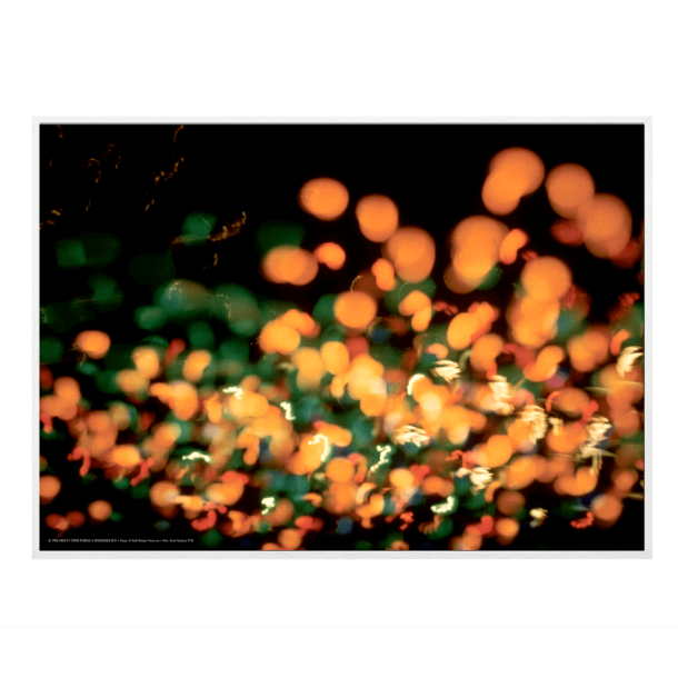 Helmer-Petersen, Tivoli Gardens 1952