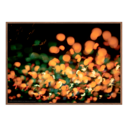 Helmer-Petersen, Tivoli Gardens 1952