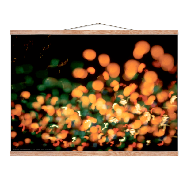 Helmer-Petersen, Tivoli Gardens 1952