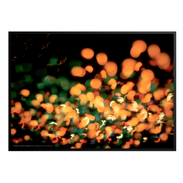 Helmer-Petersen, Tivoli Gardens 1952