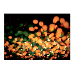 Helmer-Petersen, Tivoli Gardens 1952