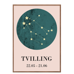 Stjernetegn - Tvilling