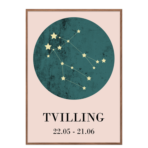 Stjernetegn - Tvilling