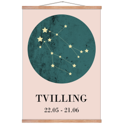 Stjernetegn - Tvilling