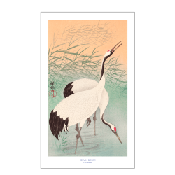 Japansk plakat | Two cranes