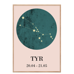 Stjernetegn - Tyr