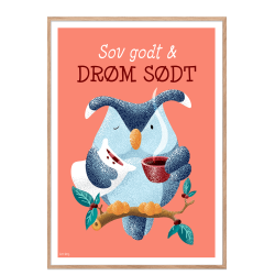 Ugle: Sov godt og drm sdt