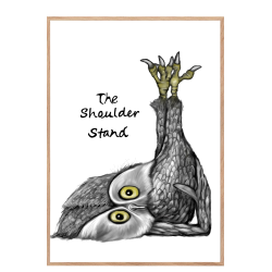 Ugle "The shoulder stand" - Plakat med dyr