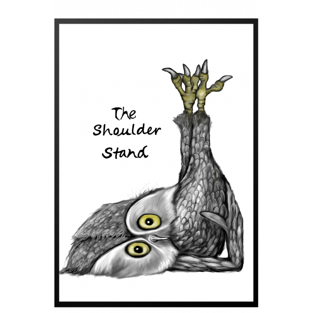 Ugle "The shoulder stand" - Plakat med dyr