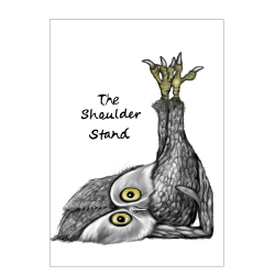 Ugle "The shoulder stand" - Plakat med dyr