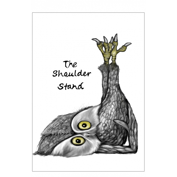 Owl "The shoulder stand" - Poster with animals