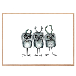 Horned Owls - Poster mit Tieren