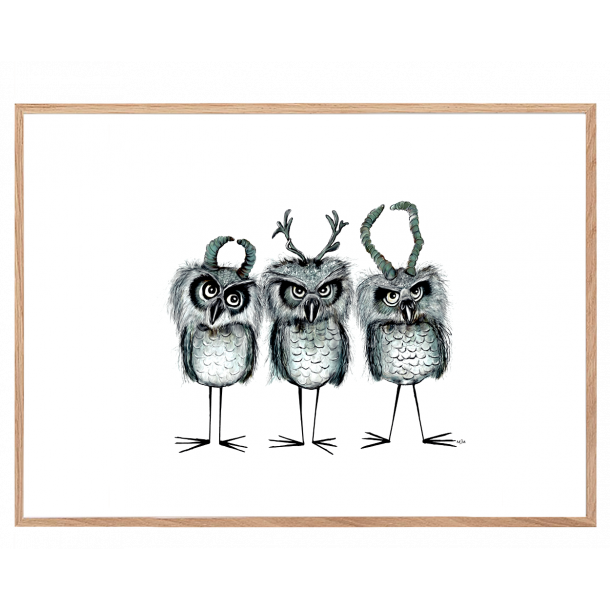 Ugler med horn - Plakat med dyr