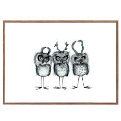 Horned Owls - Poster mit Tieren