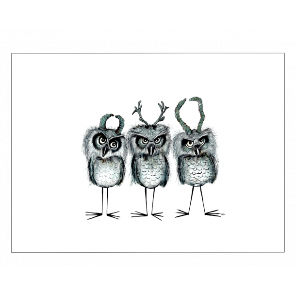 Horned Owls - Poster mit Tieren
