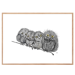 Owls on a string - Poster with animals