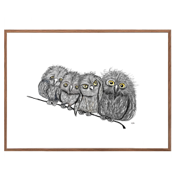 Owls on a string - Poster with animals