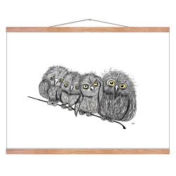 Owls on a string - Poster with animals