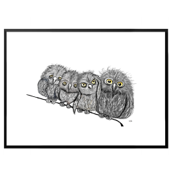 Owls on a string - Poster with animals