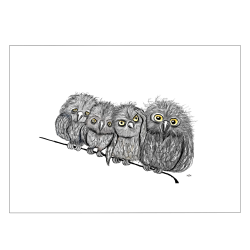 Owls on a string - Poster with animals