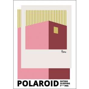 Polaroid  Eating, Sleeping, F***ing, Red