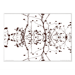 Helmer-Petersen, Winterstalks 1942