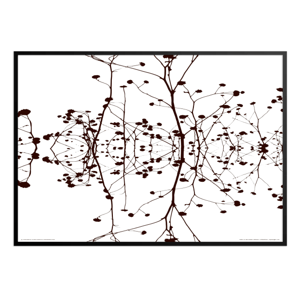 Helmer-Petersen, Winterstalks 1942