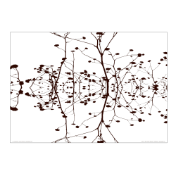 Helmer-Petersen, Winterstalks 1942