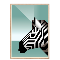 Zebra. Martin Schwartz