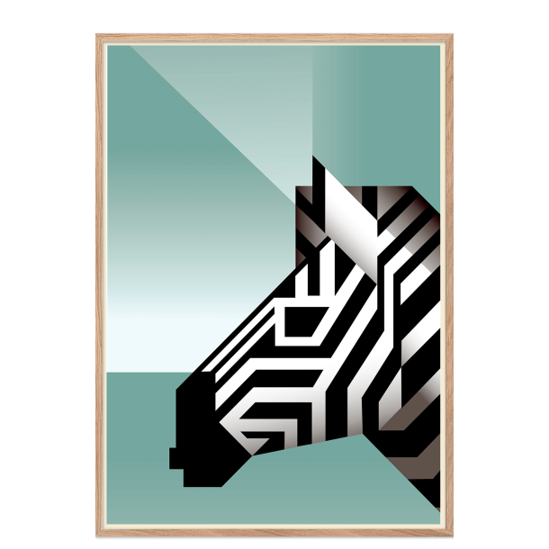 Zebra. Martin Schwartz